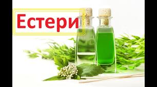(Копія) Естери. Жири.