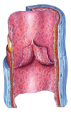 06008u9t-b3d9-228x370.png