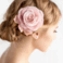 06008vi2-f543-58x58.png