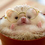 https://fs06.vseosvita.ua/06008wo7-8d94-90x90.jpg
