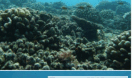 060093k8-0471-206x120.png