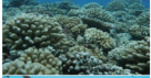 060093kp-224b-201x105.png