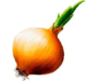 060093qs-8599-81x75.png