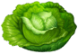 060093rx-ed6c-87x60.png
