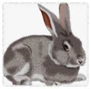060093yn-3fd0-179x176.png