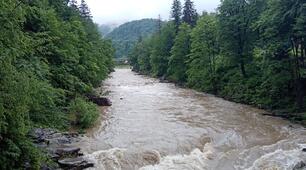 Води суходолу. Річки. 