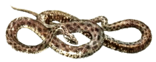 0600957s-e0f9-309x124.png