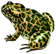 06009582-689c-237x226.png