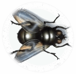 0600958f-8db0-261x253.png