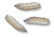0600959e-5c0c-108x74.png