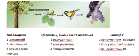 060095dn-b32f-478x194.png