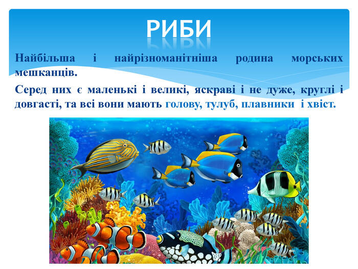 Презентація: Виконання композиції " Морські фантазії"