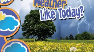 Unit 5 "What's the weather like today?" (the 5th form)