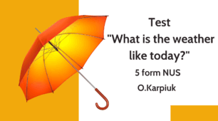 Test "What is the weather like today?" 5 form NUS O.Karpiuk