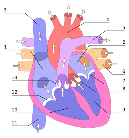 0600987i-32e2-422x452.png