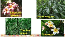 060099u3-d905-261x149.png