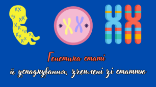 Генетика статі й успадкування, зчеплене зі статтю