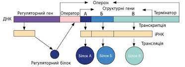 06009ai4-a379-373x135.jpg