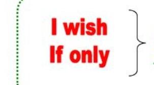 If only / I wish 