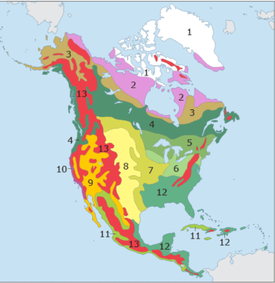 06009f99-150a-543x559.png