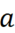06009g8d-0d64-15x33.png