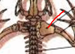 06009h2p-027b-262x189.png