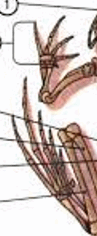 06009h2w-0e9b-190x461.png