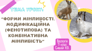 Презентація : "Форми мінливості. Модифікаційна (фенотипова) та комбінативна мінливість." 9 клас