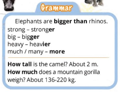 06009lec-b34c-414x317.png