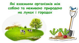 Презентація на тему "Які взаємини організмів між собою та неживою природою на луках і городах" 6 клас НУШ