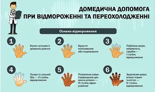 06009lzw-575a-500x298.webp