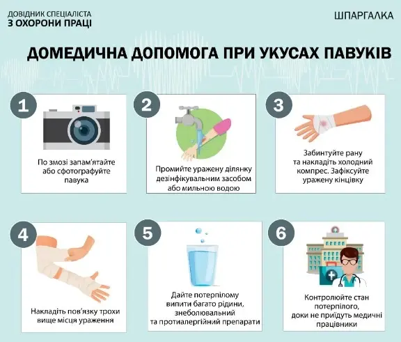 06009m4x-4cd6-576x491.webp