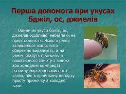 06009m60-f57a-691x517.jpg