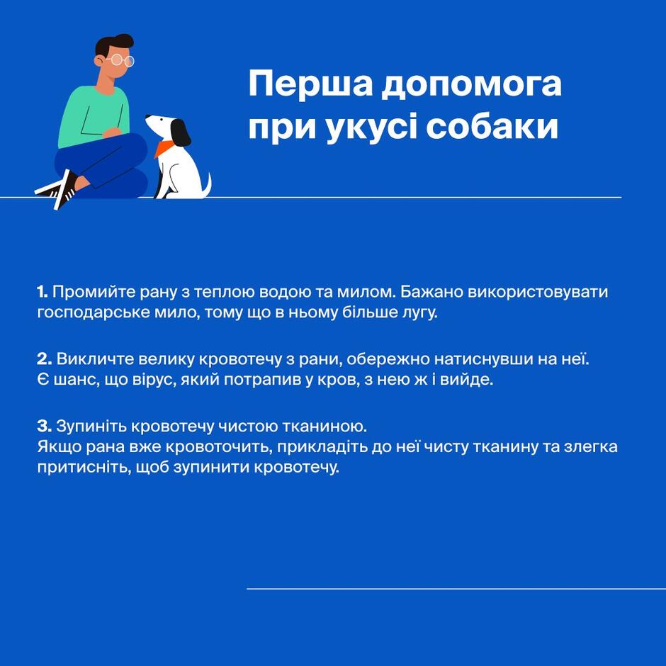 Перша допомога при укусі собаки