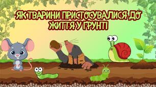 Презентація "Як тварини пристосувалися до життя у ґрунті"