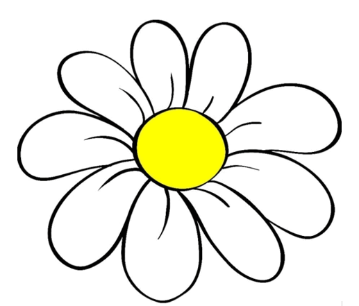 06009owj-ce0b-517x441.png