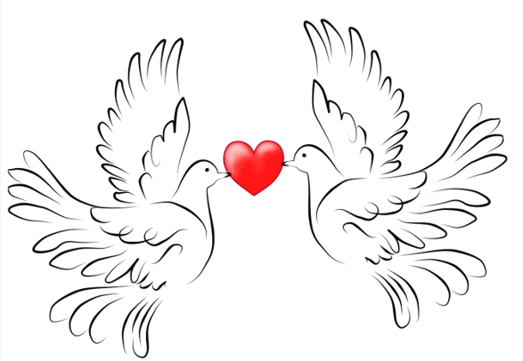 06009plq-5a4b-587x406.png