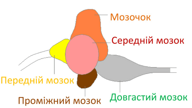 06009pp4-28c5-626x352.png