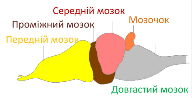 06009pq4-62c2-632x324.png