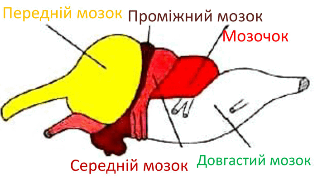 06009pqp-64be-632x358.png