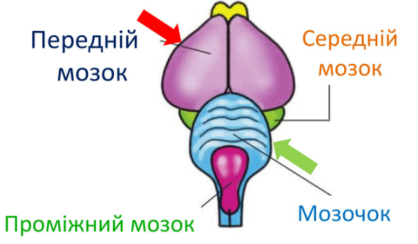 06009prl-f057-595x348.png