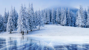 06009slc-508f-297x167.jpg