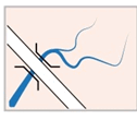 06009vq9-3d0d-126x110.png