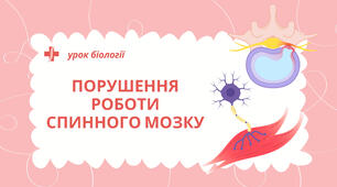 Презентація на тему  "Порушення роботи спинного мозку"