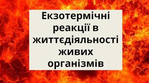 Презентація на тему "Екзотермічні реакції в життєдіяльності живих організмів"