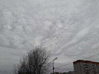 06009xkn-c9bf-205x154.jpg