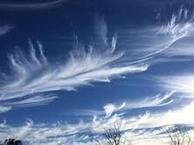06009xl6-4b03-194x145.jpg
