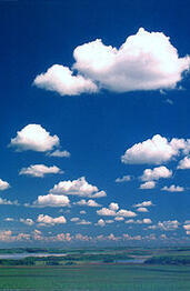 06009xly-67bb-199x305.jpg