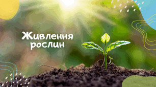Презентація на тему "Живлення рослин"