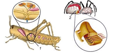 06009zt5-5f81-383x180.png